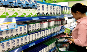 Xây dựng thương hiệu sản phẩm: Không thể chậm trễ