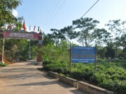 Khát vọng xây dựng thương hiệu chè Ba Trại