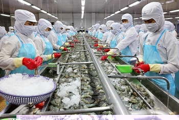 Bộ Công Thương: Hoan nghênh Hoa Kỳ không áp thuế chống bán phá giá tôm xuất khẩu Minh Phú