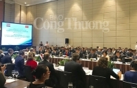 Thích ứng biến đổi khí hậu và quản lý nước: Trụ cột trong quan hệ song phương Việt Nam – Hà Lan