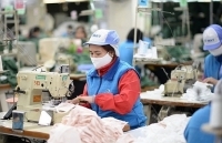 “Career Support - Hỗ trợ sự nghiệp” – tìm kiếm cơ hội việc làm cho người lao động
