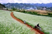 Quy hoạch Mộc Châu thành khu du lịch quốc gia