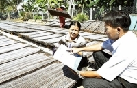 Đẩy nhanh tiến độ người tham gia bảo hiểm xã hội