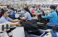 Ban hành mẫu thông báo kết quả đóng bảo hiểm xã hội