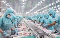 Thực thi Hiệp định EVFTA - nâng cao năng lực phòng vệ thương mại