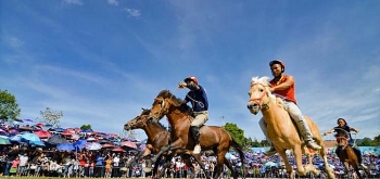 Đua ngựa trở thành di sản quốc gia: Đòn bẩy cho du lịch Bắc Hà