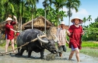 Tháo gỡ điểm nghẽn, tạo đột phá cho quảng bá, xúc tiến du lịch