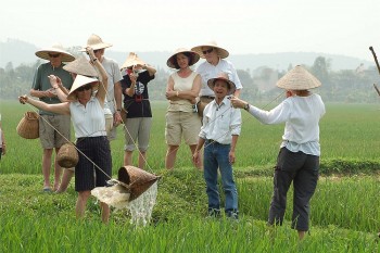 Đến năm 2025 phát triển, chuẩn hoá các điểm đến và sản phẩm du lịch nông thôn