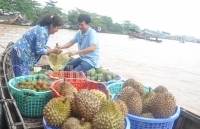 Miền Tây mênh mang mùa nước nổi