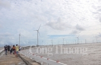 Cánh đồng điện gió - sức hút mới của du lịch Bạc Liêu