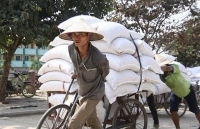 “Kích cầu” tham gia bảo hiểm xã hội tự nguyện