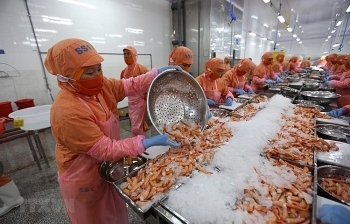 Phòng vệ thương mại: Phát huy lợi thế hội nhập kinh tế