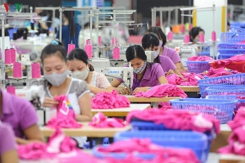 Thương mại Việt Nam – Argentina: Phát triển tích cực trong đại dịch Covid-19