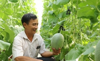 Rót trăm triệu cho con