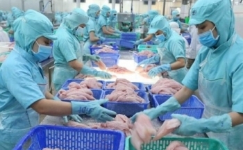 Tìm hiểu thị trường, tăng cơ hội xuất khẩu thủy sản sang Anh