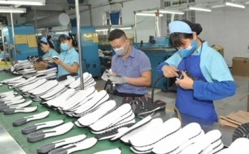 Cơ hội cho doanh nghiệp thâm nhập thị trường CPTPP: Sản xuất bền vững là 