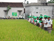 Phân bón Phú Mỹ cùng bà con nông dân chuẩn bị cho vụ hè thu