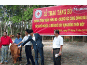 Miwon trao 15 con bò giống cho các hộ nghèo tỉnh Tây Ninh