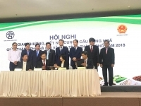 Tăng cường kết nối giao thương giữa Hà Nội với các tỉnh, thành phố