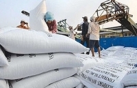 Triển khai nhiệm vụ Thủ tướng giao với 20 thương nhân xuất khẩu gạo lớn nhất cả nước