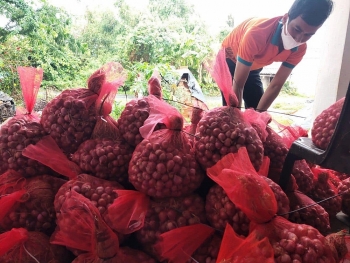 Hỗ trợ tiêu thụ 30 tấn hành tím qua sàn thương mại điện tử và “Gian hàng Việt trực tuyến”