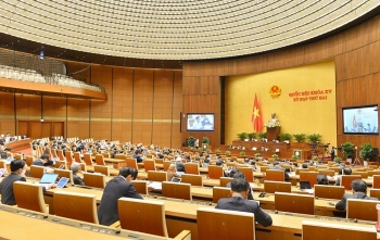 Cần có quy định chặt chẽ hơn đối với các loại hình kinh doanh bảo hiểm