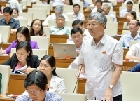 Tăng cường công tác hậu kiểm, quản lý chất lượng thức ăn chăn nuôi