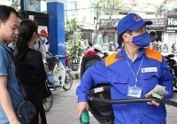 Giá xăng tăng trở lại sau hai kỳ giảm liên tiếp