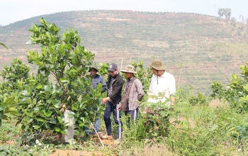 Kon Tum: Triển khai hiệu quả  chính sách dân tộc