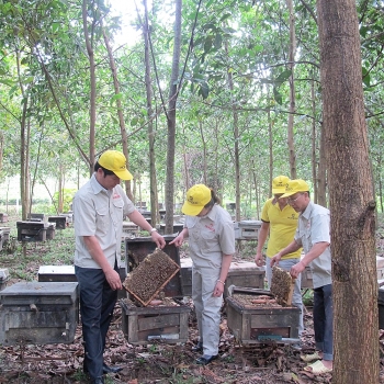 Muốn tiêu thụ mạnh, cần thương hiệu tốt