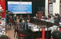 Kinh tế Việt Nam và những triển vọng trong năm 2019