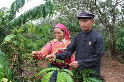 Tìm kiếm ý tưởng chuỗi giá trị hỗ trợ đồng bào dân tộc thiểu số