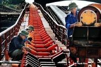 Chú trọng tự động hóa và chăm lo người lao động