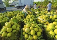 Giai đoạn 2020 – 2030: 1.000 sản phẩm đạt Thương hiệu quốc gia Việt Nam