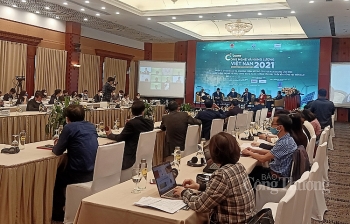 Tập trung đào tạo nhân lực cho ngành năng lượng