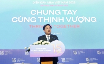 Hoạt động M&A góp phần đa dạng vốn cho nền kinh tế
