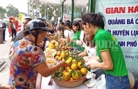 Cam, bưởi Lục  Ngạn “dạm ngõ” Hà Nội
