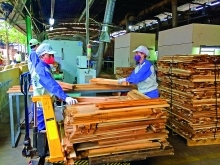 Vietnam logs record year of timber and wood exports