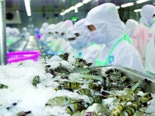 Vietnamese exports to Australia surge