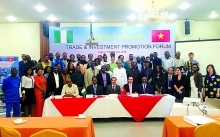 Vietnam cultivates Nigerian cashew, timber exporters