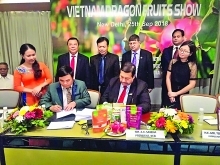 India-Vietnam trade surges to unprecedented highs