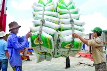 The Philippines: Promising land for Vietnamese goods