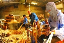 Nghe An Province boosts rural industries