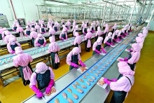 CP Vietnam launches “Kitchen of the World” chicken exports