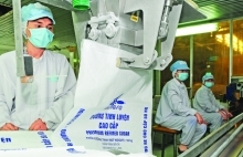 Sugarcane industry adapting to removal of ASEAN import quotas