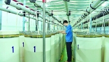 Ninh Binh Province: Industry promotion boosts productivity