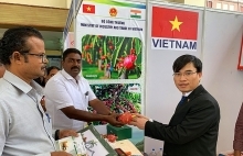 Plenty of cooperation opportunities