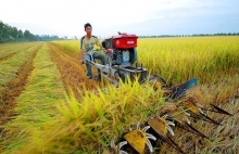 New top-level coordinating body to provide boost for Mekong Delta provinces