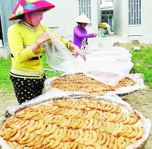 Ca Mau Province: Industry promotion increases business efficiency