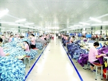 Hau Giang industry promotion helps rural enterprises